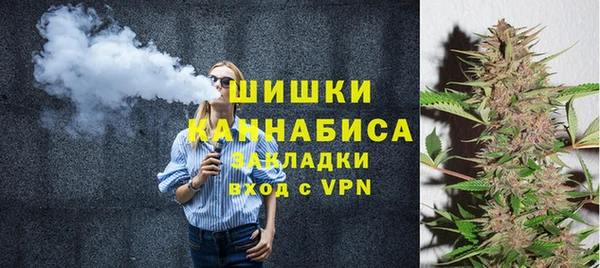 гашик Козельск