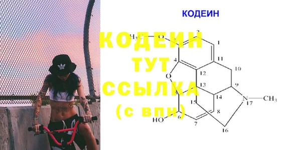 гашик Кодинск