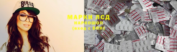 гашик Козельск