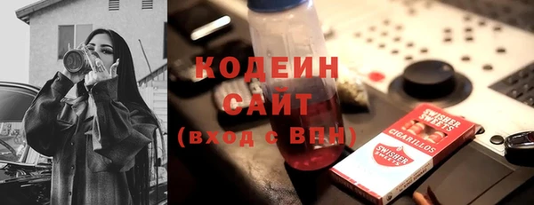 гашик Козельск