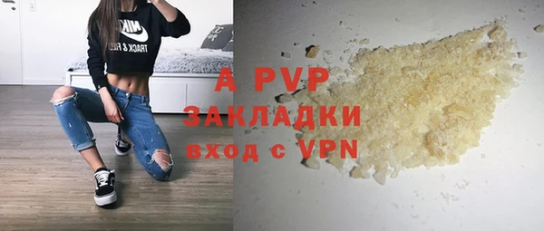 гашик Козельск