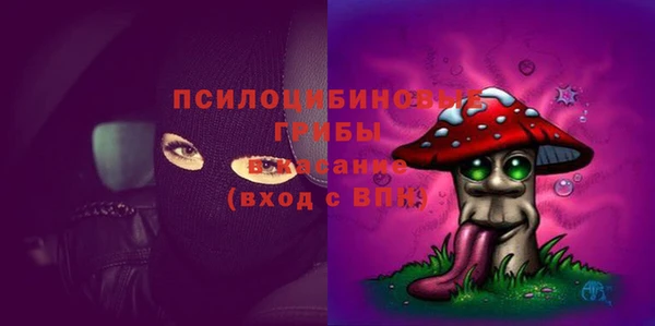 крисы Козловка