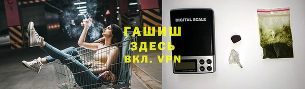 гашик Козельск
