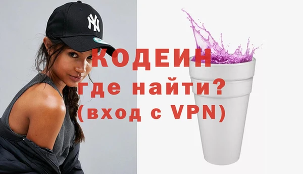гашик Кодинск