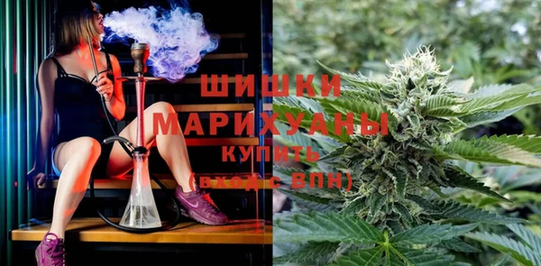 крисы Козловка