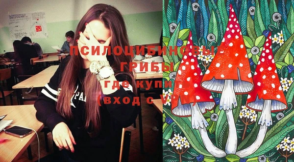 гашик Кодинск