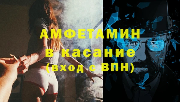 крисы Козловка