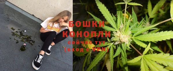 гашик Козельск