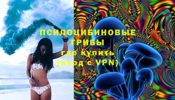 крисы Козловка