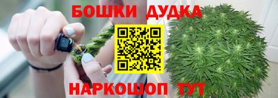 шишки Кингисепп
