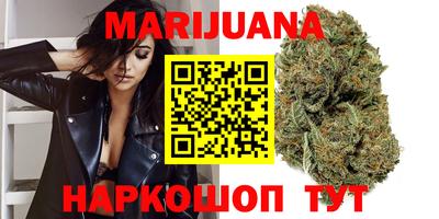 шишки Кингисепп