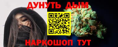 шишки Кингисепп