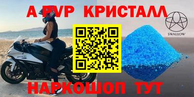 шишки Кингисепп
