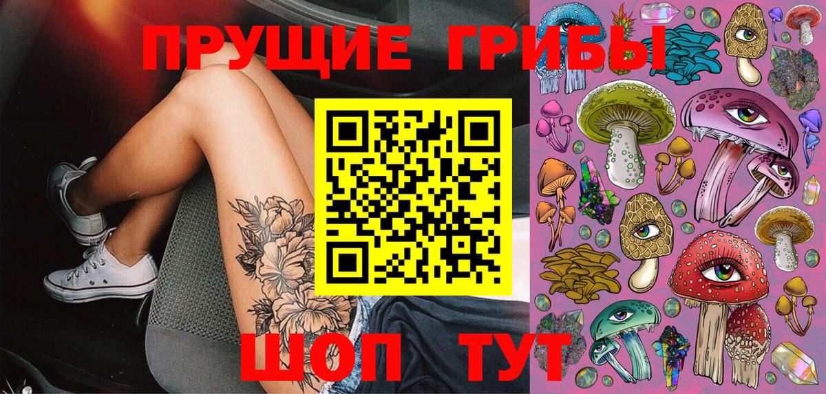Галлюциногенные грибы MAGIC MUSHROOMS  Вход с VPN  Сунжа 
