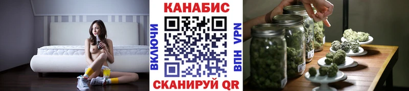 Каннабис ГИДРОПОН  Сунжа 