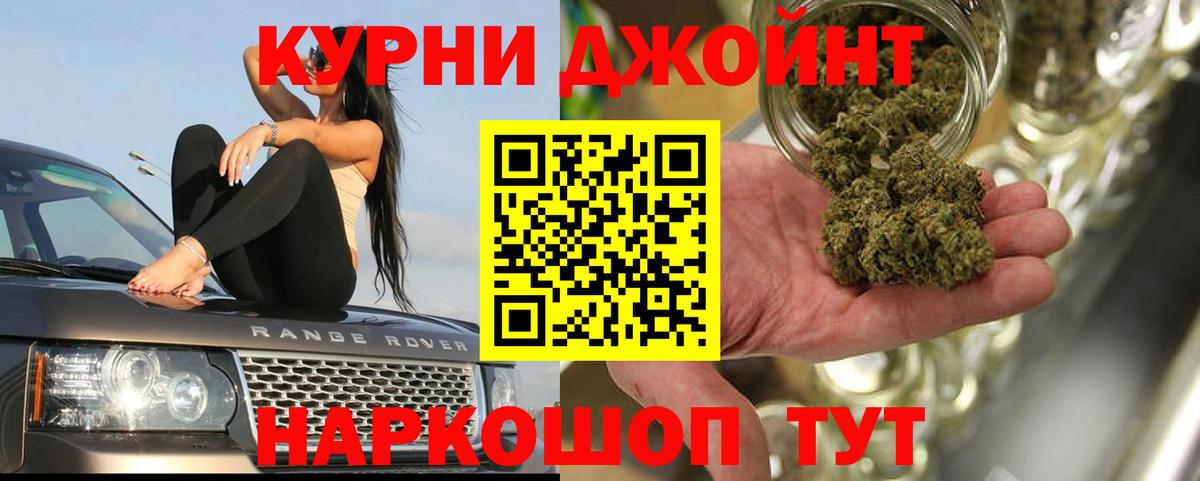 Марихуана сатива Сунжа